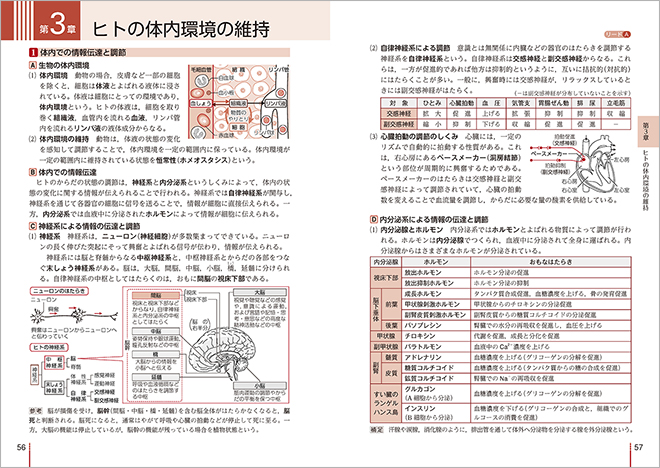 三訂版　リードα生物基礎＋生物　リードA