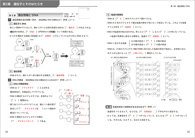 改訂版 生物基礎・改訂版 高等学校生物基礎 準拠 ナビゲーションノート　ー　内容を見る　解答