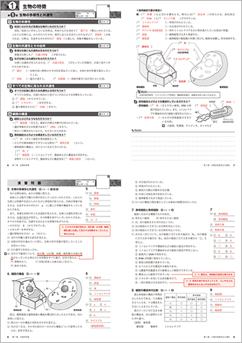 改訂版 新編 生物基礎 準拠 サポートノート 解答編