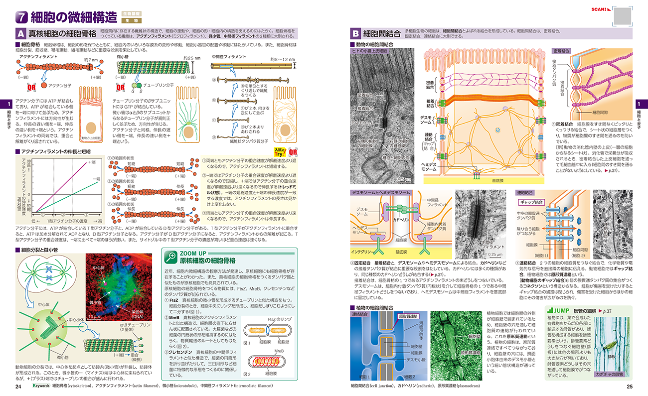 三訂版 フォトサイエンス生物図録 内容2