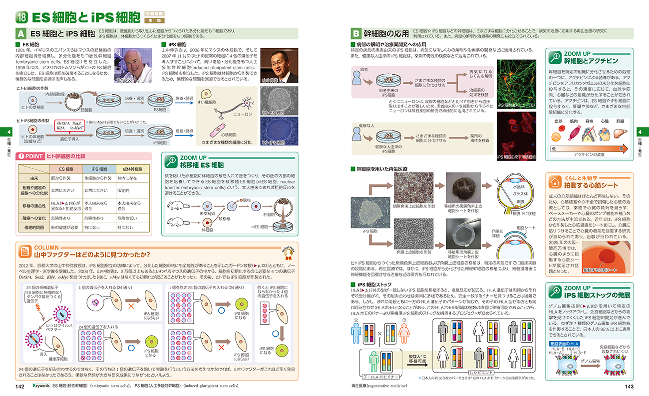 三訂版 フォトサイエンス生物図録 内容3