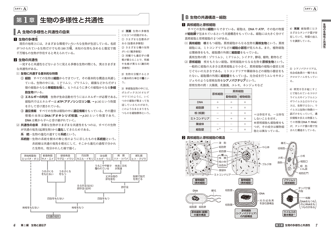 改訂版 スタディアップノート生物基礎 内容1